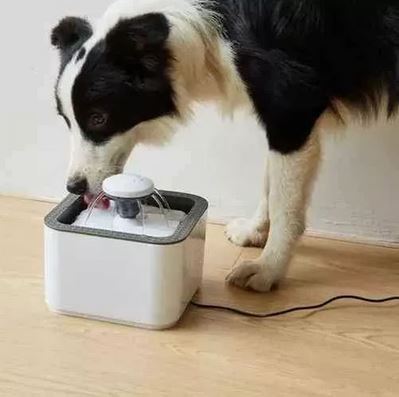Fuente de Agua para Gatos y Perros 2 L
